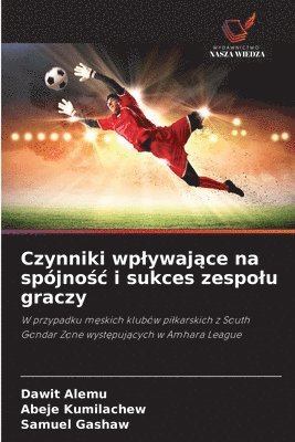 Dawit Alemu, Abeje Kumilachew, Samuel Gashaw - Czynniki wplywające na spójnośc i sukces zespolu graczy, Häftad