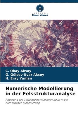 bokomslag Numerische Modellierung in der Felsstrukturanalyse