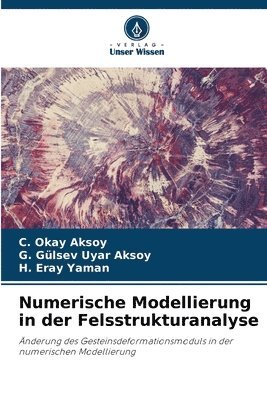 Numerische Modellierung in der Felsstrukturanalyse 1