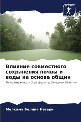 Влияние совместного сохранения почвы и в&#1086