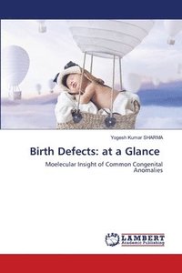 bokomslag Birth Defects