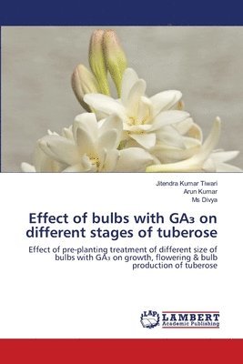 Effect of bulbs with GA&#8323; on different stages of tuberose 1