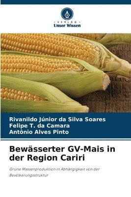 Bewässerter GV-Mais in der Region Cariri