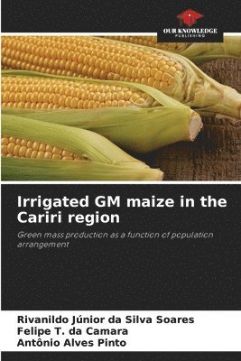 Irrigated GM maize in the Cariri region