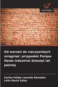 bokomslag Od marze? do rzeczywistych osi?gni?c: przypadek Parque Oeste Industrial dziesi?c lat pó?niej
