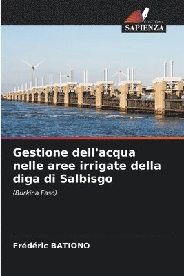 bokomslag Gestione dell'acqua nelle aree irrigate della diga di Salbisgo