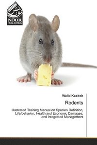 bokomslag Rodents