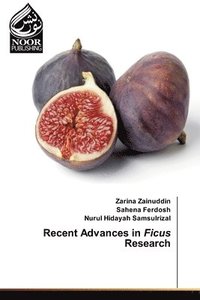 bokomslag Recent Advances in Ficus Research