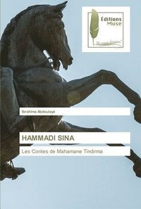 bokomslag Hammadi Sina