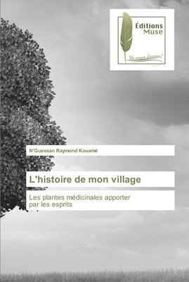 L'histoire de mon village 1