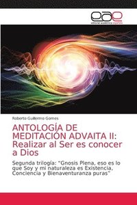 bokomslag Antologia de Meditacion Advaita II