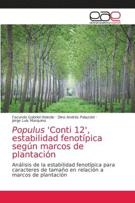 Populus 'Conti 12', estabilidad fenotpica segn marcos de plantacin 1