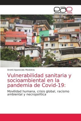 Vulnerabilidad sanitaria y socioambiental en la pandemia de Covid-19 1