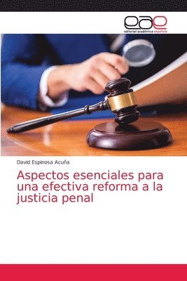 Aspectos esenciales para una efectiva reforma a la justicia penal 1
