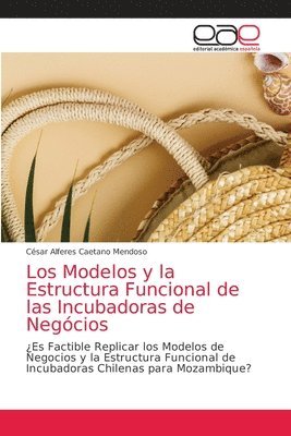 bokomslag Modelos y la Estructura Funcional de las Incubadoras de Negócios