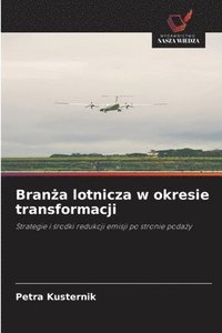 bokomslag Bran?a lotnicza w okresie transformacji