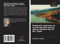 bokomslag Podatno?c wybrze?a na wzrost poziomu morza: obszar Gamasa-Ras Al-Bar, Egipt