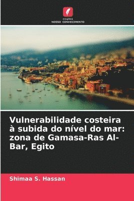 bokomslag Vulnerabilidade costeira à subida do nível do mar: zona de Gamasa-Ras Al-Bar, Egito