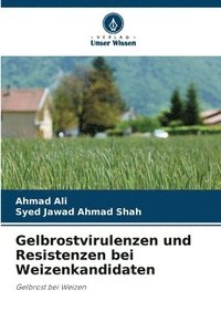 bokomslag Gelbrostvirulenzen und Resistenzen bei Weizenkandidaten
