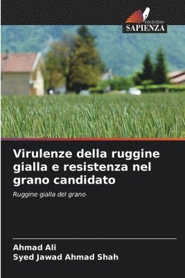 bokomslag Virulenze della ruggine gialla e resistenza nel grano candidato