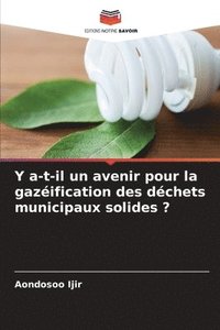 bokomslag Y a-t-il un avenir pour la gazéification des déchets municipaux solides ?