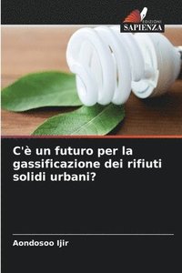 bokomslag C'è un futuro per la gassificazione dei rifiuti solidi urbani?