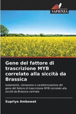bokomslag Gene del fattore di trascrizione MYB correlato alla siccità da Brassica