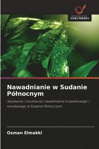 bokomslag Nawadnianie w Sudanie Pólnocnym