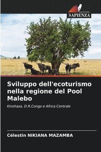 bokomslag Sviluppo dell'ecoturismo nella regione del Pool Malebo