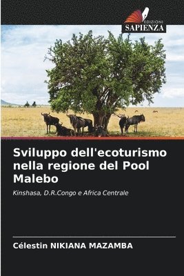 Célestin Nikiana Mazamba - Sviluppo dell'ecoturismo nella regione del Pool Malebo, Häftad