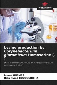 bokomslag Lysine production by Corynebacteruim glutamicum Homoserine (-)