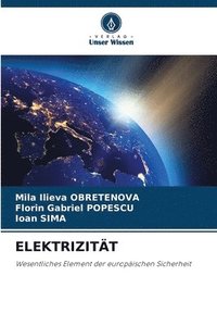 bokomslag Elektrizität