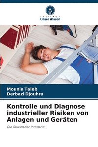 bokomslag Kontrolle und Diagnose industrieller Risiken von Anlagen und Geräten