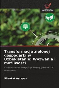 bokomslag Transformacja zielonej gospodarki w Uzbekistanie: Wyzwania i mo?liwo?ci
