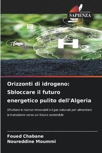 bokomslag Orizzonti di idrogeno: Sbloccare il futuro energetico pulito dell'Algeria