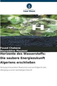bokomslag Horizonte des Wasserstoffs: Die saubere Energiezukunft Algeriens erschließen