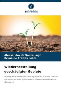 bokomslag Wiederherstellung geschädigter Gebiete