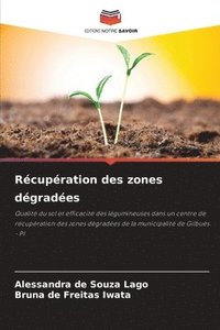 bokomslag Récupération des zones dégradées