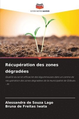 bokomslag Récupération des zones dégradées