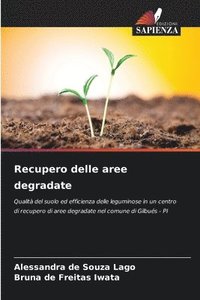 bokomslag Recupero delle aree degradate