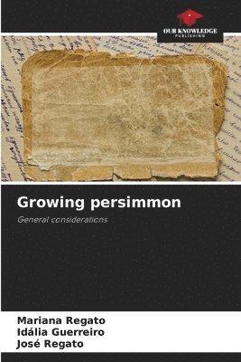 bokomslag Growing persimmon