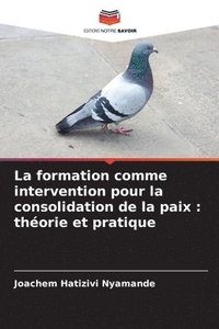 bokomslag La formation comme intervention pour la consolidation de la paix: théorie et pratique