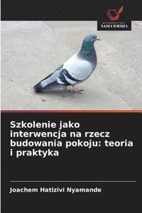 bokomslag Szkolenie jako interwencja na rzecz budowania pokoju: teoria i praktyka