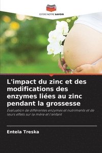 bokomslag L'impact du zinc et des modifications des enzymes liées au zinc pendant la grossesse