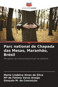 bokomslag Parc national de Chapada das Mesas, Maranhão, Brésil