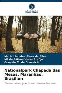 bokomslag Nationalpark Chapada das Mesas, Maranhão, Brasilien