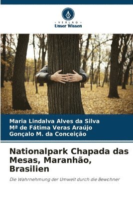 bokomslag Nationalpark Chapada das Mesas, Maranhão, Brasilien