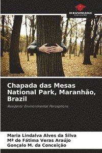 bokomslag Chapada das Mesas National Park, Maranhão, Brazil