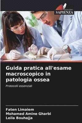 bokomslag Guida pratica all'esame macroscopico in patologia ossea