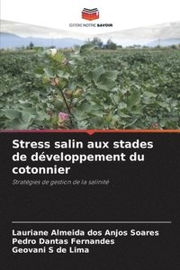 bokomslag Stress salin aux stades de développement du cotonnier